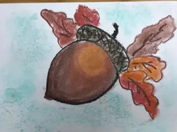Acorn