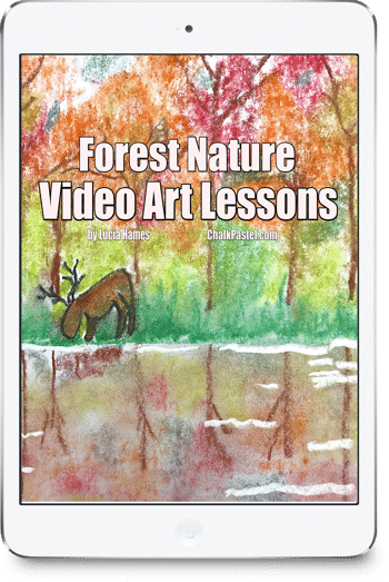 Forest Nature Video Art Lessons