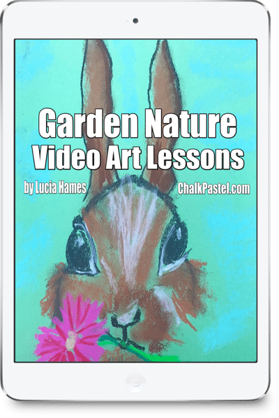 Nana's video art lessons capture the beauty of a garden! No expensive, intimidating list of art supplies. Garden Nature Video Art Lessons are a wonderful stand alone art curriculum or a perfect complement to your nature study learning.