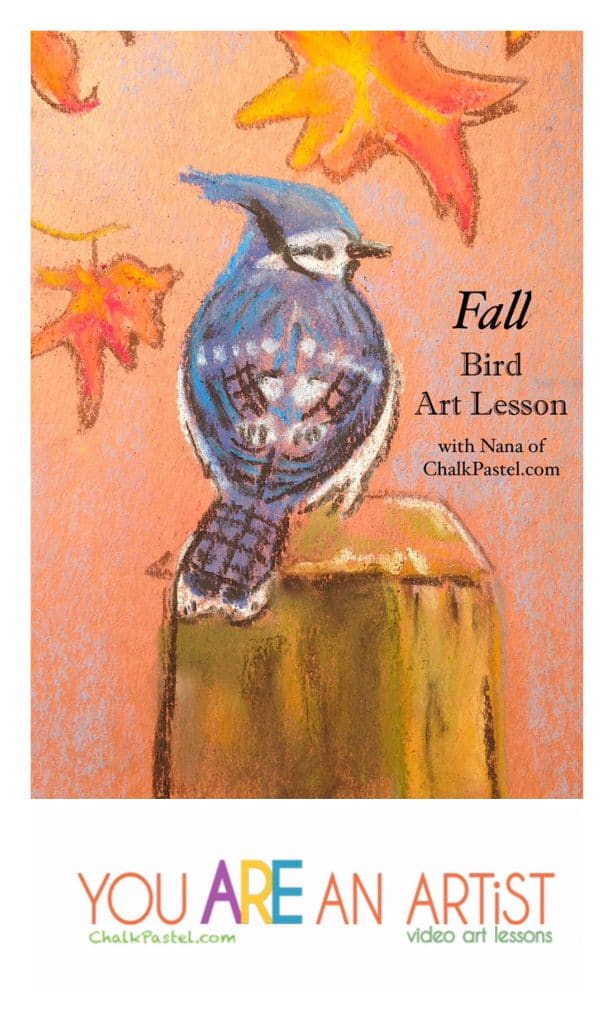 Your resident ornithologist will love Nana's chalk pastel bird video art lessons! In fact, there are so many ways to combine a homeschool bird study with art. Maybe a seasonal study, the Great Backyard Bird Count, Apologia's Flying Creatures, nature study and more. You can have an I Drew It Then I Knew It homeschool bird study.