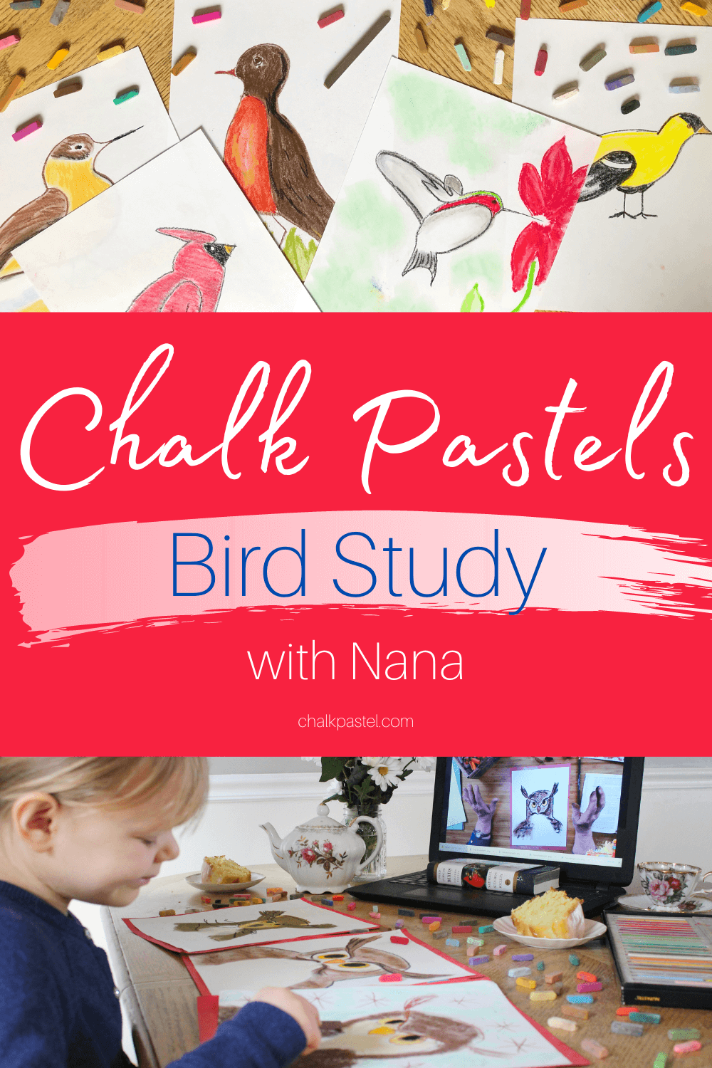 Chalk Pastels Bird Study with Nana: A chalk pastels bird study with Nana is a wonderful way to introduce bird art lessons to your kids. Chalk pastels are perfect for preschoolers to adults. They are super easy to use with no long art supply list needed. You'll love adding these vibrant birds to your next nature study or in preparation for the Great Backyard Bird Count! #chalkpastels #YouAREAnArtist #birdartlessons #birdartlessonsforkids #birdnaturestudy #backyardbirds #birdlessons #ChalkPastelsBirdStudywithNana