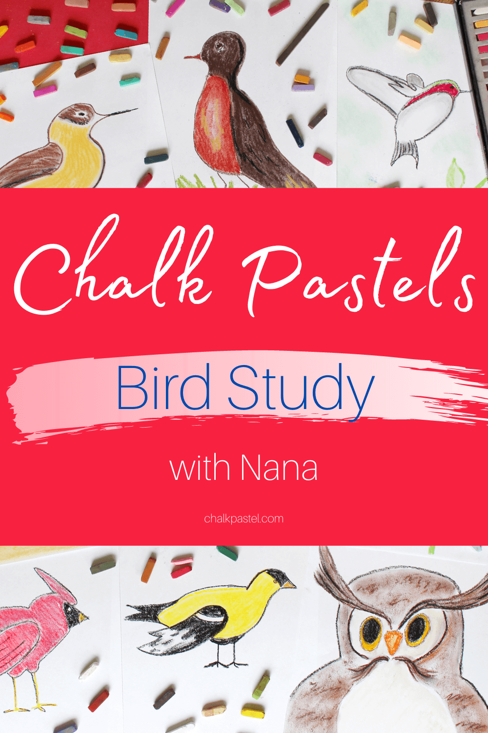 Chalk Pastels Bird Study with Nana: A chalk pastels bird study with Nana is a wonderful way to introduce bird art lessons to your kids. Chalk pastels are perfect for preschoolers to adults. They are super easy to use with no long art supply list needed. You'll love adding these vibrant birds to your next nature study or in preparation for the Great Backyard Bird Count! #chalkpastels #YouAREAnArtist #birdartlessons #birdartlessonsforkids #birdnaturestudy #backyardbirds #birdlessons #ChalkPastelsBirdStudywithNana