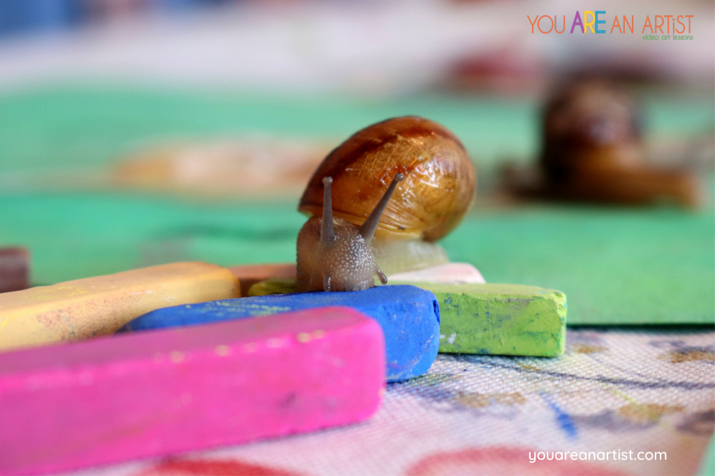 Snail Unit Study by Jamie Gault is a perfect example of integrated art for your homeschool.