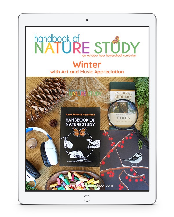Nature Study with Art and Music Appreciation