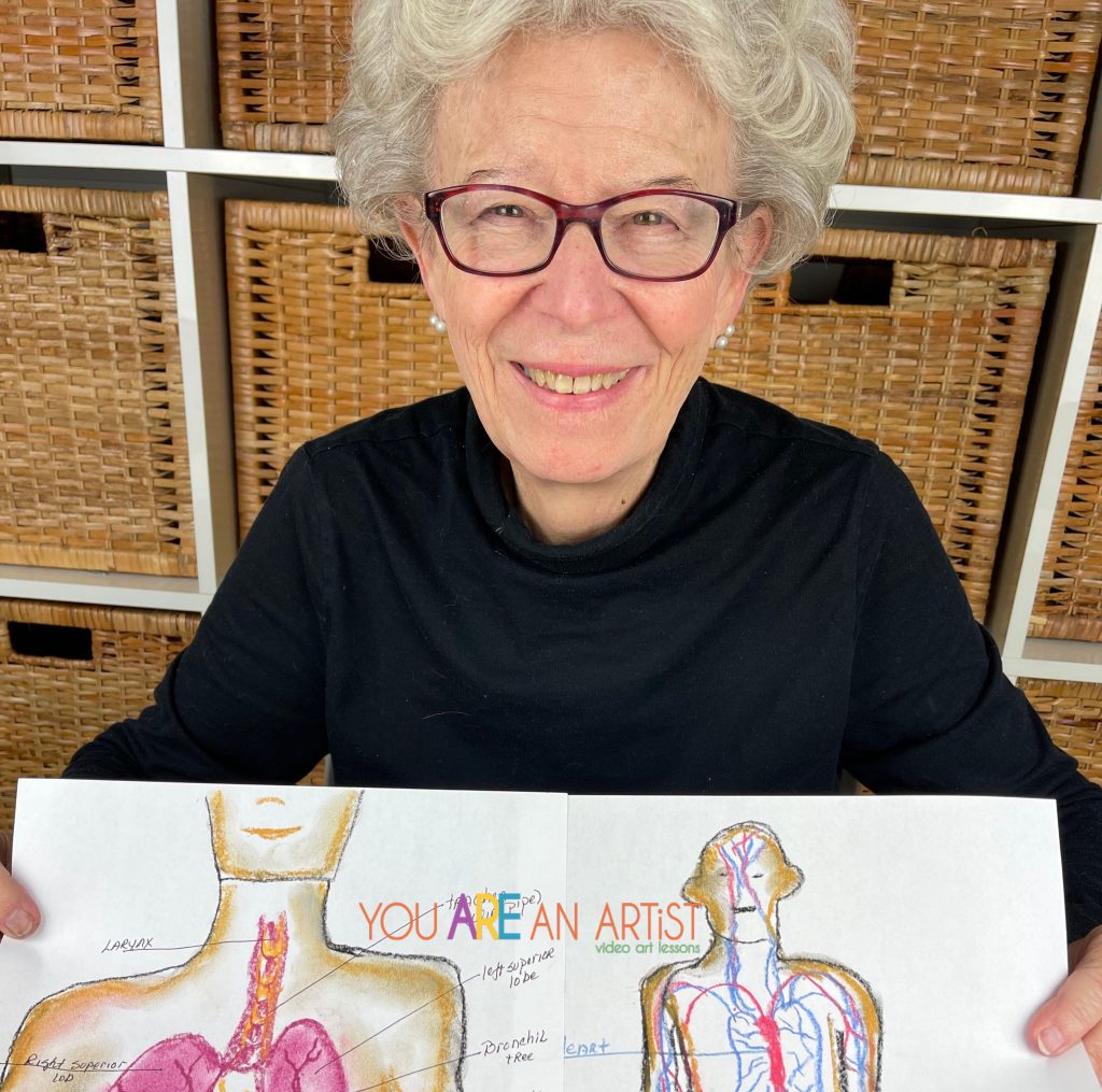 lungs and respiratory system and circulatory system art activities for homeschool science