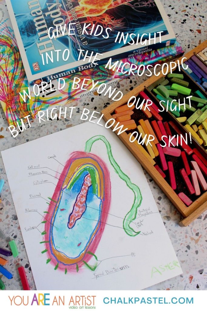 STEAM learning in homeschool - Help your child get excited about homeschool anatomy with these activities for hands on science! Diagram a cell, a bacterium, the human eye, the human heart and more!