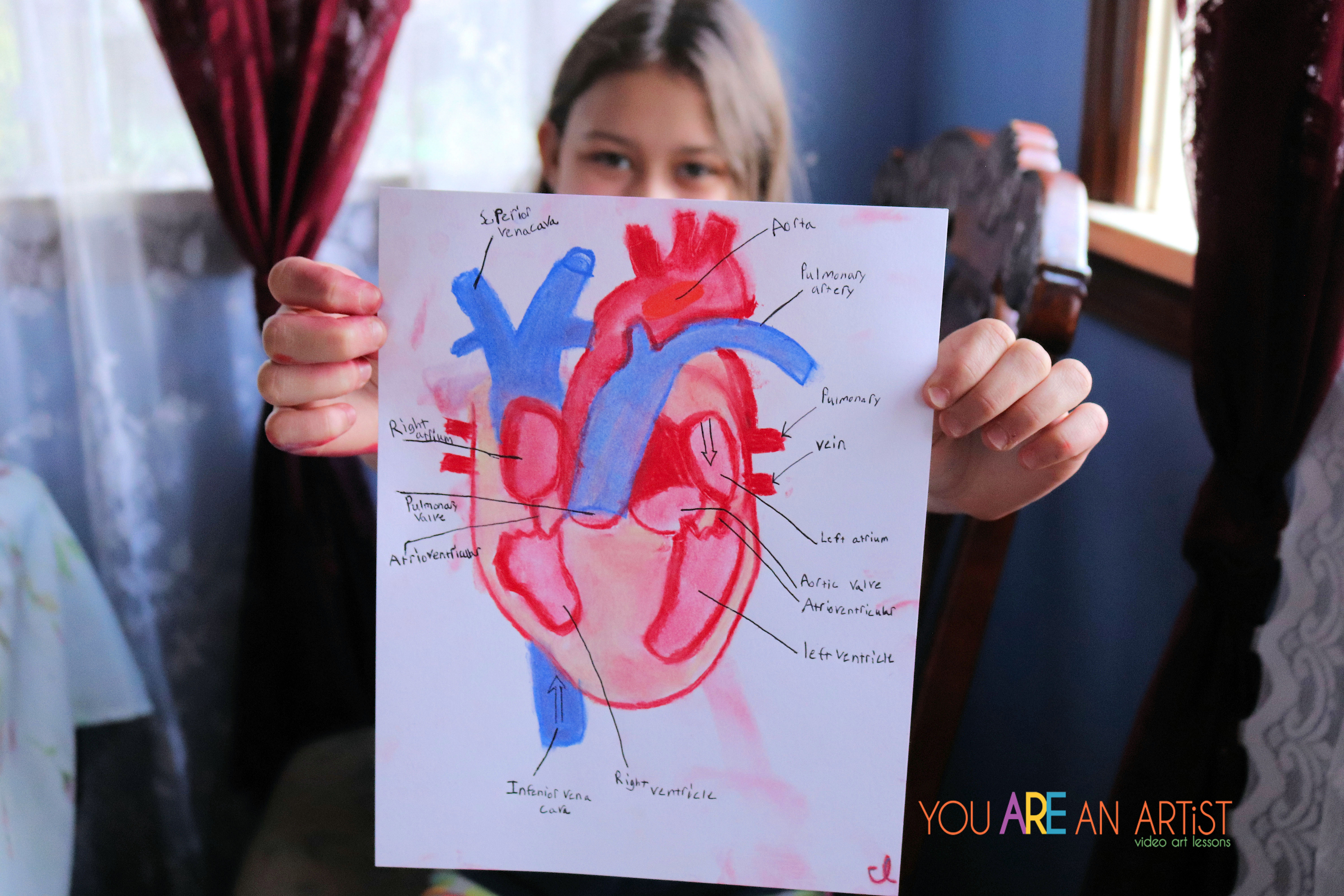 Human Heart Drawing, Step by Step Drawing Lessons-saigonsouth.com.vn
