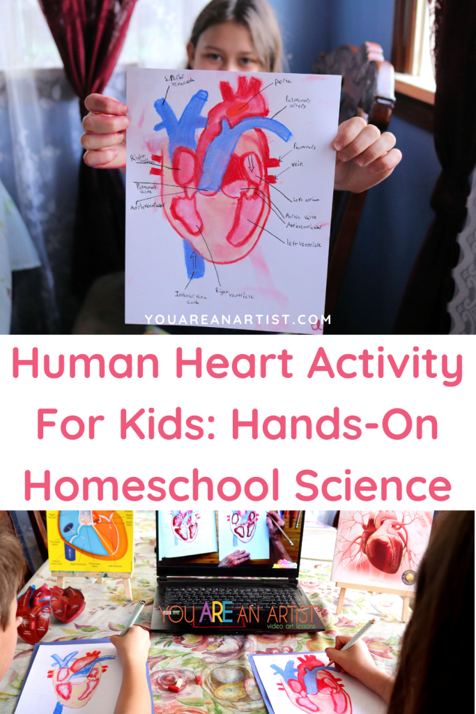 Nana’s human heart activity for kids is a great hands-on homeschool science experience that highlights art, writing, diagramming, plus an exposure to brand new vocabulary. It's a combination of multiple subjects all in one spot!