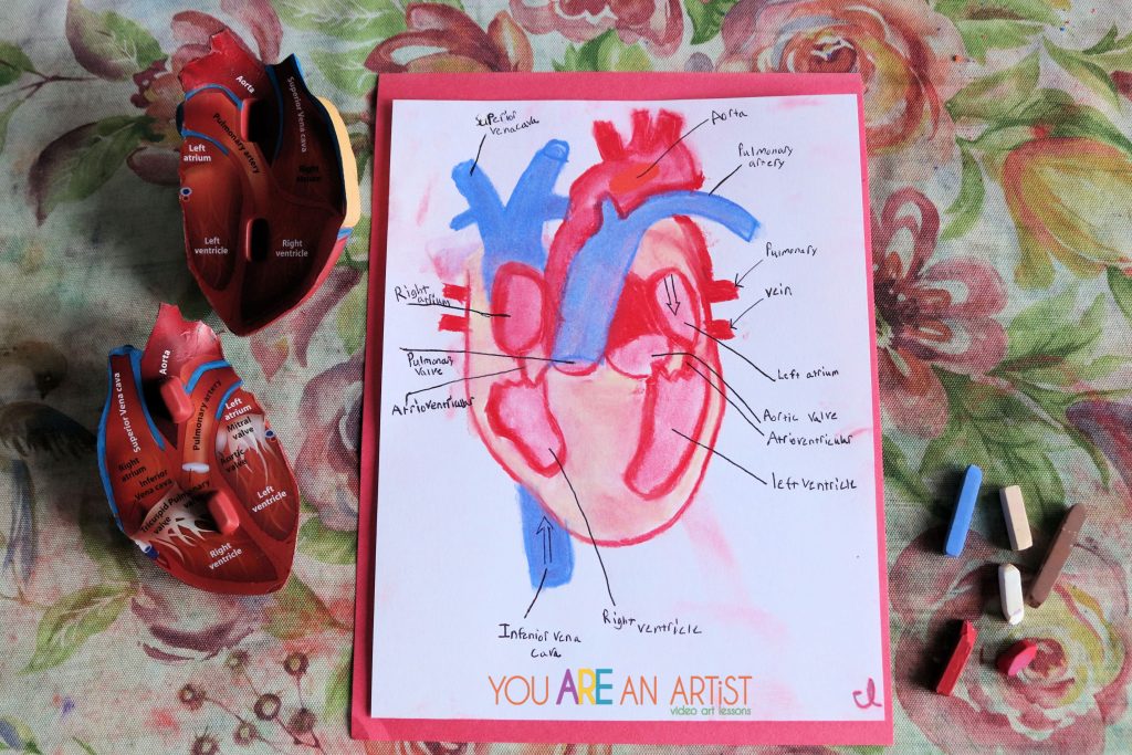 Nana’s human heart activity for kids is a great hands-on homeschool science experience that highlights art, writing, diagramming, plus an exposure to brand new vocabulary. It's a combination of multiple subjects all in one spot!