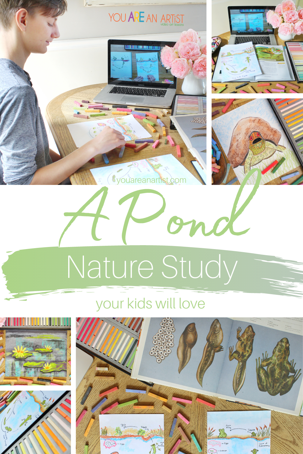 A Pond Nature Study Your Kids Will Love! :Spring and summer are the perfect time to explore a pond nature study! Exploring a local pond can be filled with surprises and wonder, from algae and tadpoles to birds and fish. The educational opportunities are endless. Then, you can come back inside to cool off with the fun and colorful chalk pastel pond lessons! #YouAREAnArtist #pondstudyforkids #pondunitstudy #pondstudy #chalkpastel #videoartlessons