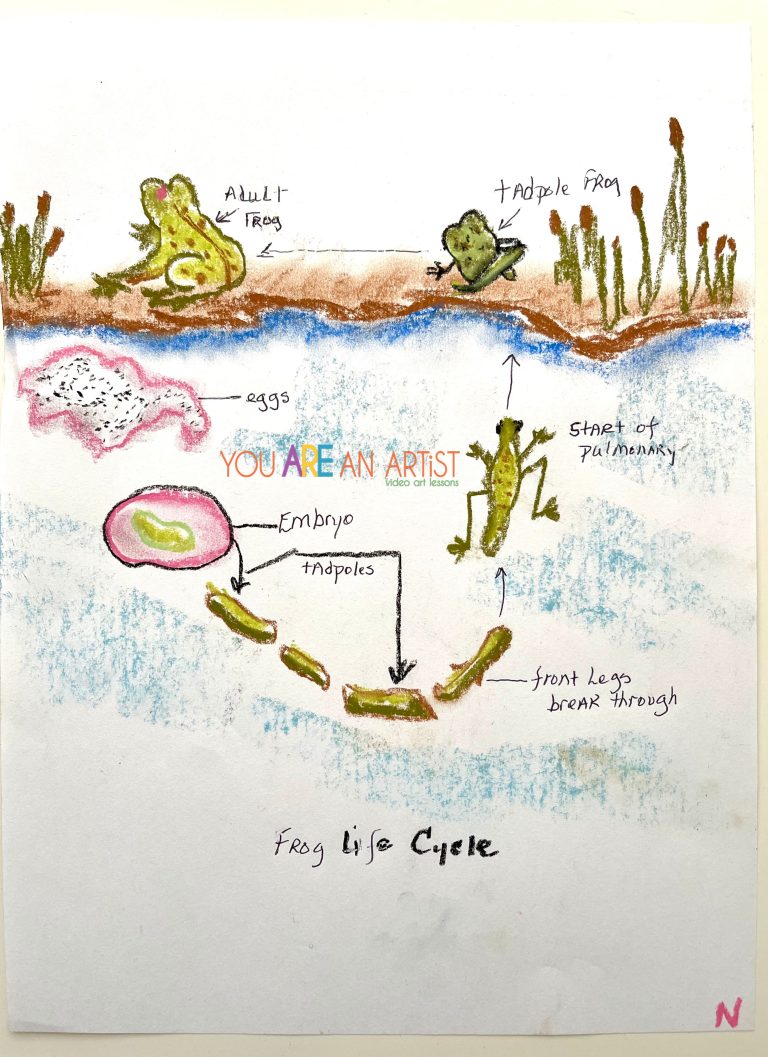 Frog Cycle Clubhouse