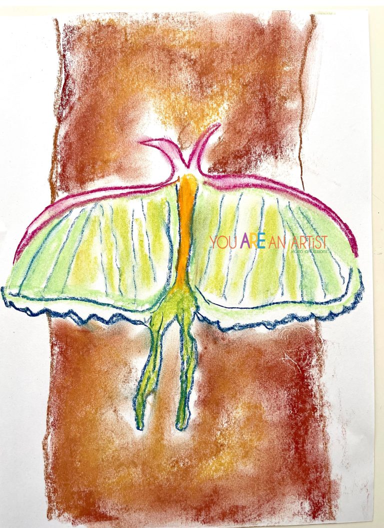 Luna Moth
