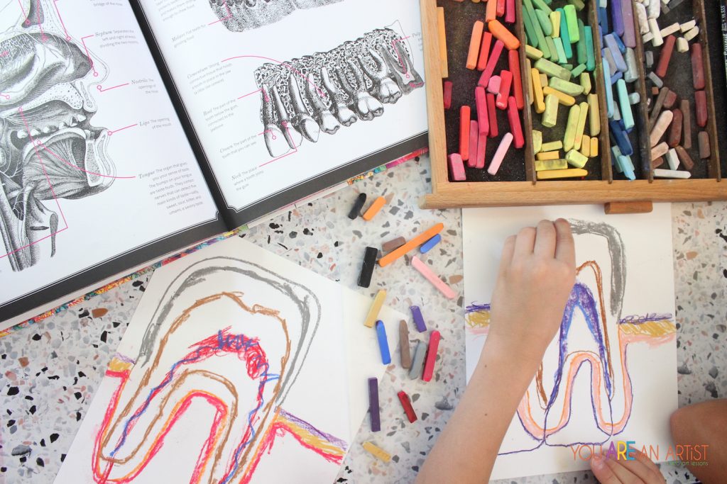 Nana’s video art lesson is a tooth diagram activity that highlights the many-colored wonder of these curious cuspids. Great homeschool science!