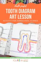 A Tooth Diagram Activity For Homeschool Science That Will Make You 