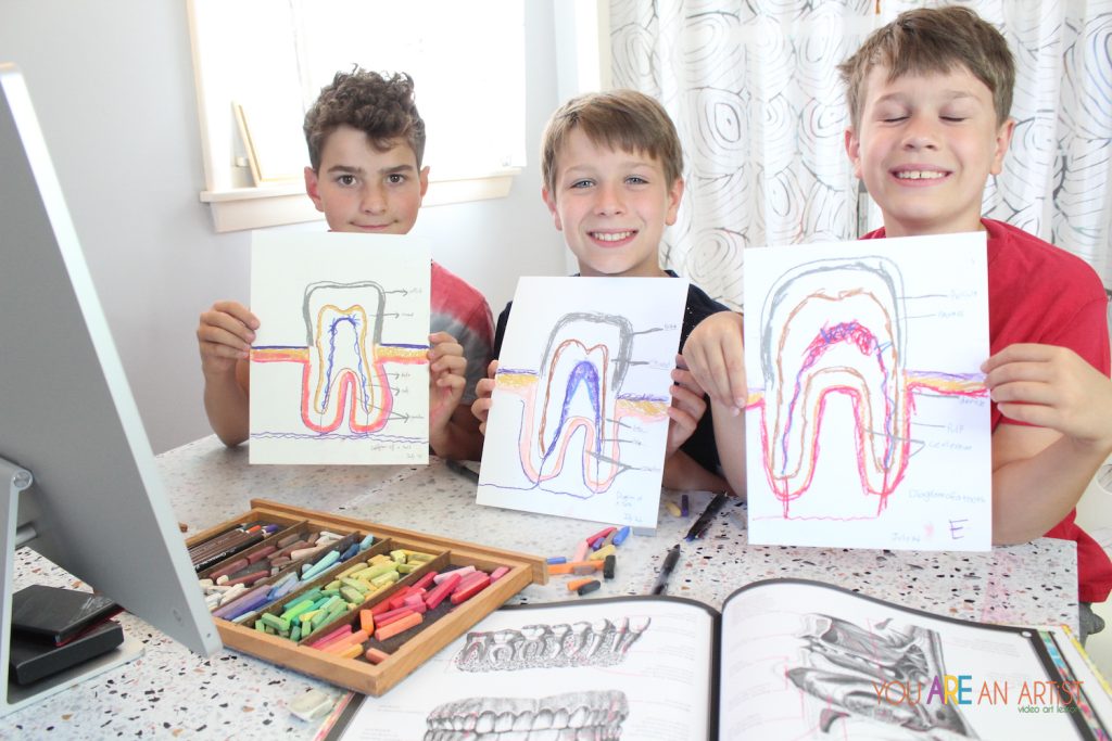 Nana’s video art lesson is a tooth diagram activity that highlights the many-colored wonder of these curious cuspids. Great homeschool science!