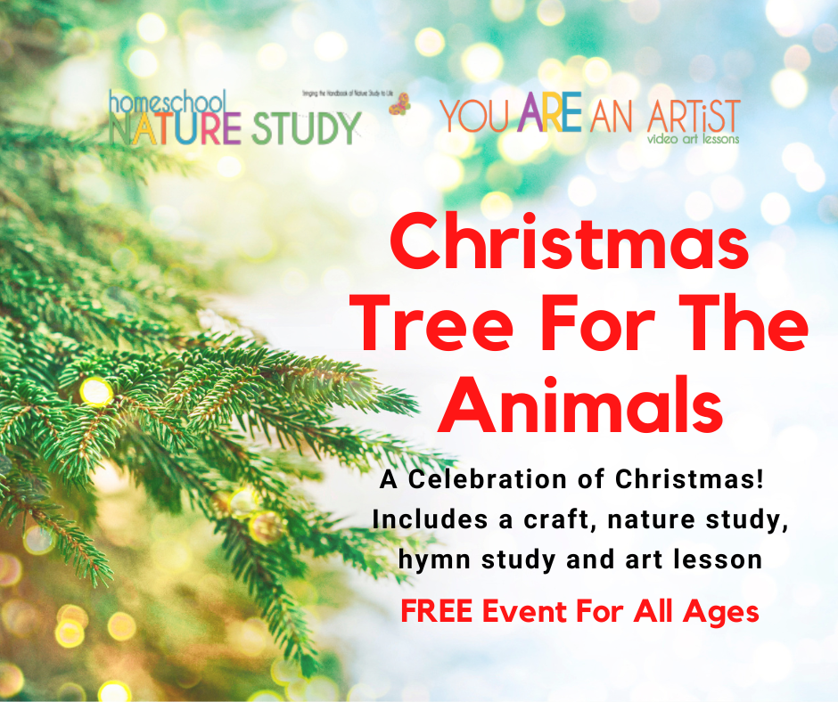 Enjoy this simple, joyful and stress-free holiday event with art, nature and music for your Christmas homeschool.