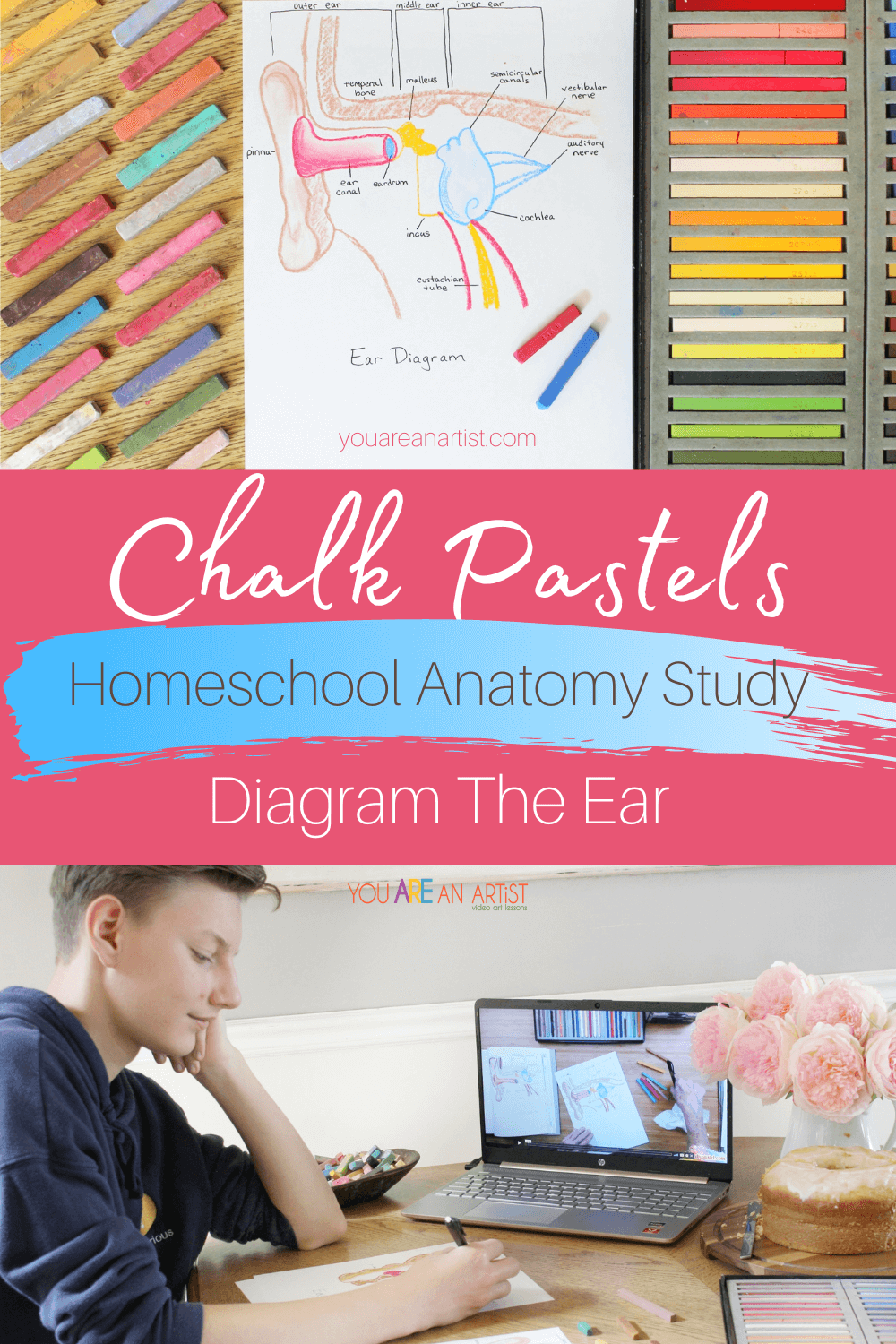 Homeschool Anatomy Study: Diagram The Ear - Hey, did you hear? Nana has a homeschool science ear diagram activity! This activity is a perfect way to learn the inner workings of the human ear while being creative and a bit messy with chalk pastels! #chalkpastels #YouAREAnArtist #homeschhool