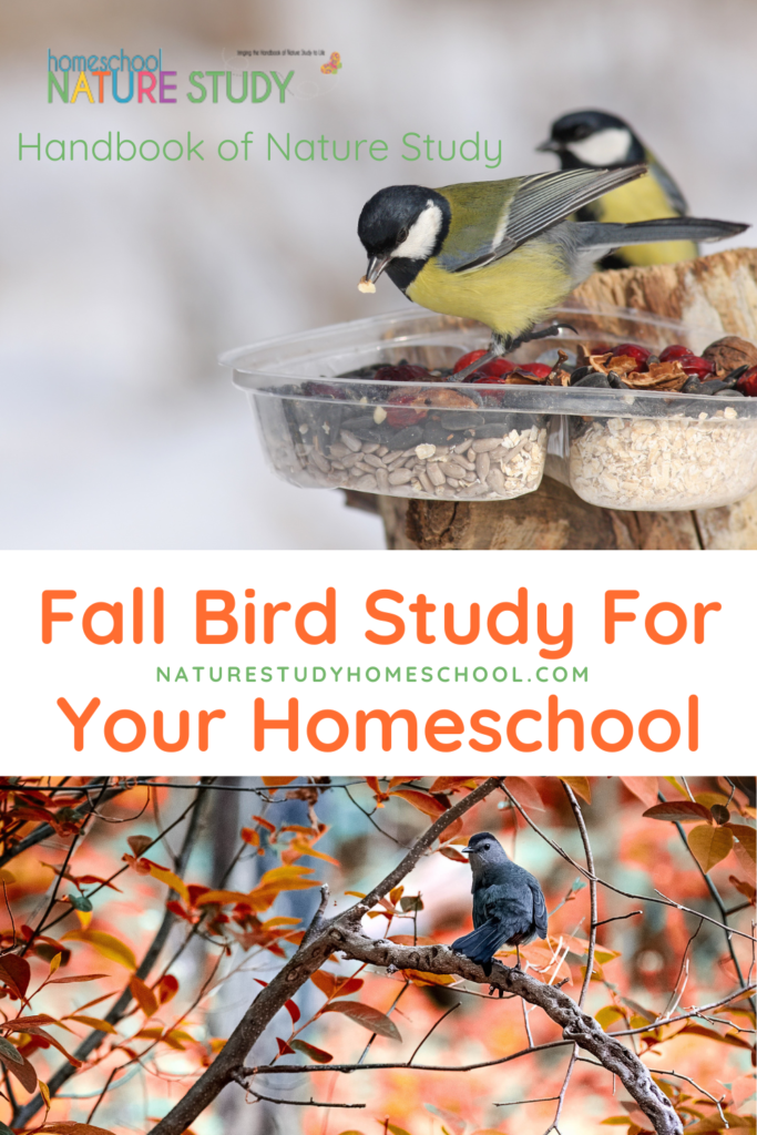 fall bird study for your homeschool