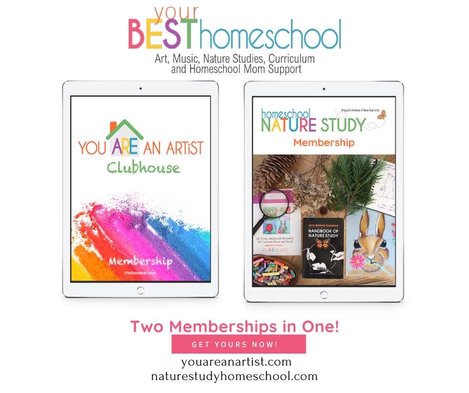 You ARE an Artist: Chalk Pastels for All Ages - Your BEST Homeschool