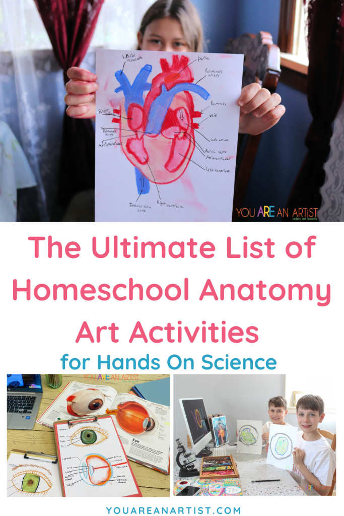 Help your child get excited about homeschool anatomy with these activities for hands on science! Diagram a cell, a bacterium, the human eye, the human heart and more!