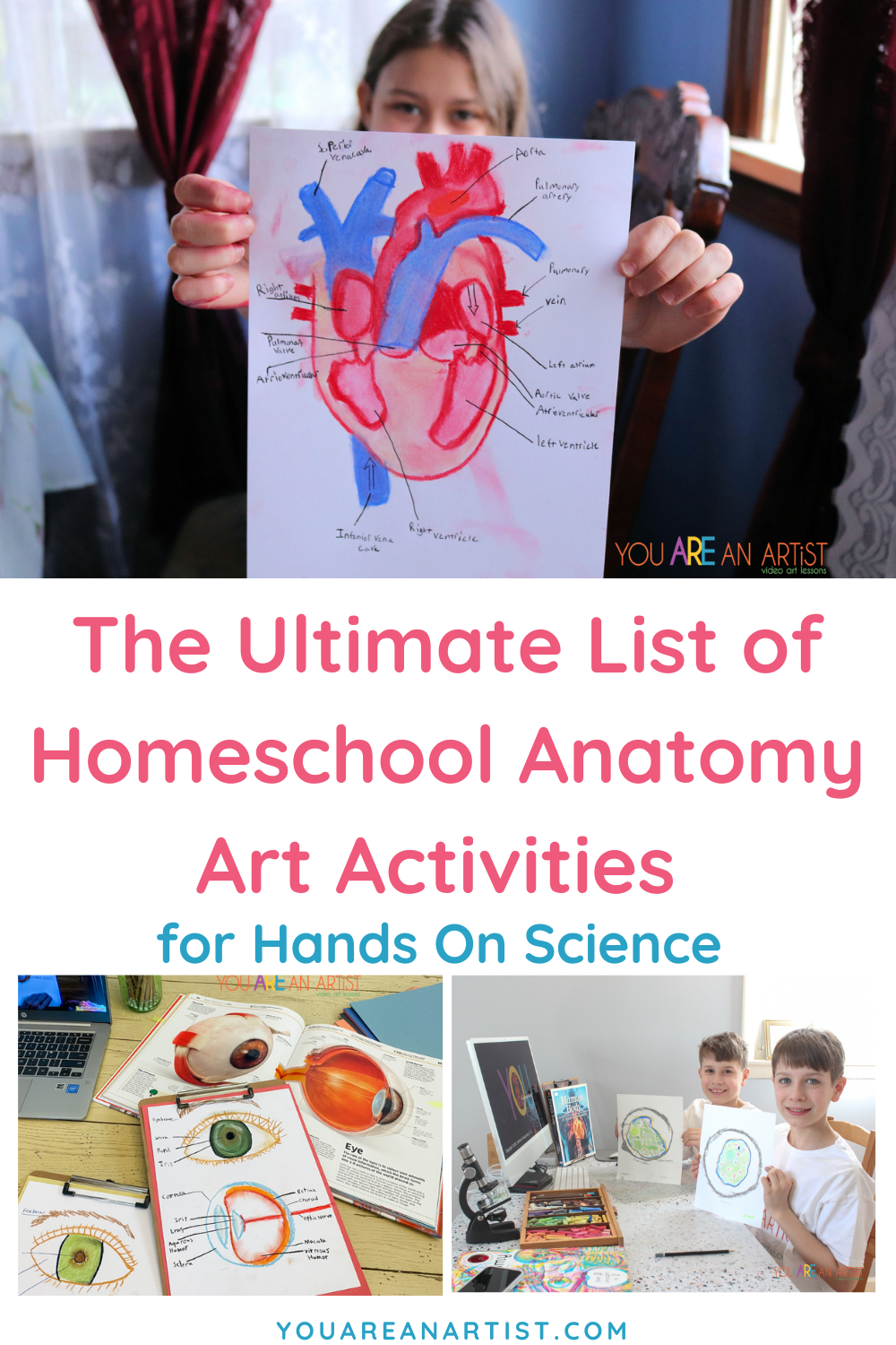 An Ultimate List of Homeschool Anatomy Art Activities for Hands On ...
