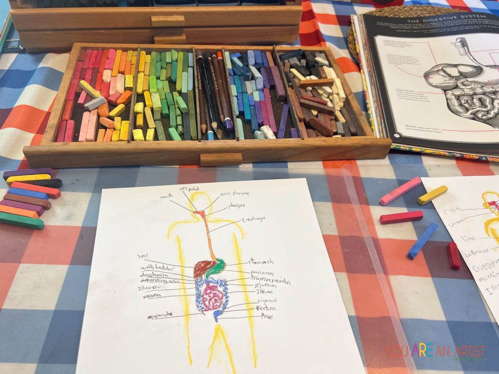 Nana’s digestive system study lesson offers a hands-on homeschool activity that includes art, science, labeling, handwriting, and vocabulary building. So many ways to learn, all in one lesson! 