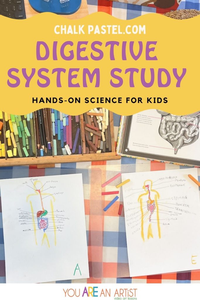 Nana’s digestive system study lesson offers a hands-on homeschool activity that includes art, science, labeling, handwriting, and vocabulary building. So many ways to learn, all in one lesson! 