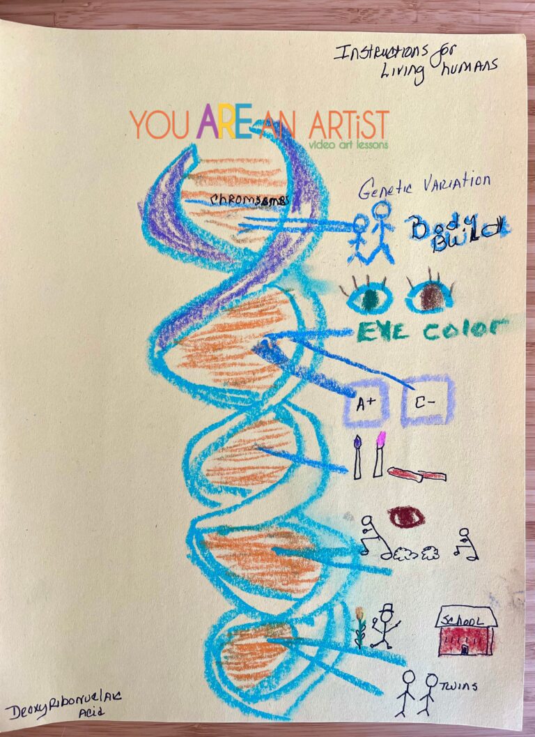 DNA Diagram