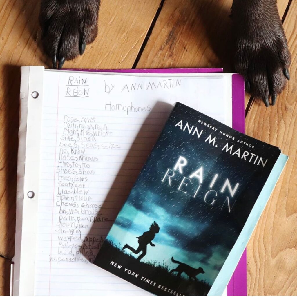 Rain Reign by Ann M. Martin