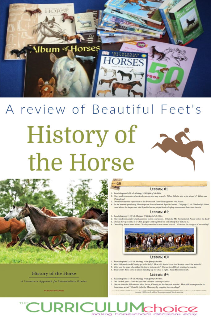 Horse Activities for Kids - Horse Unit Study reviews at The Curriculum Choice