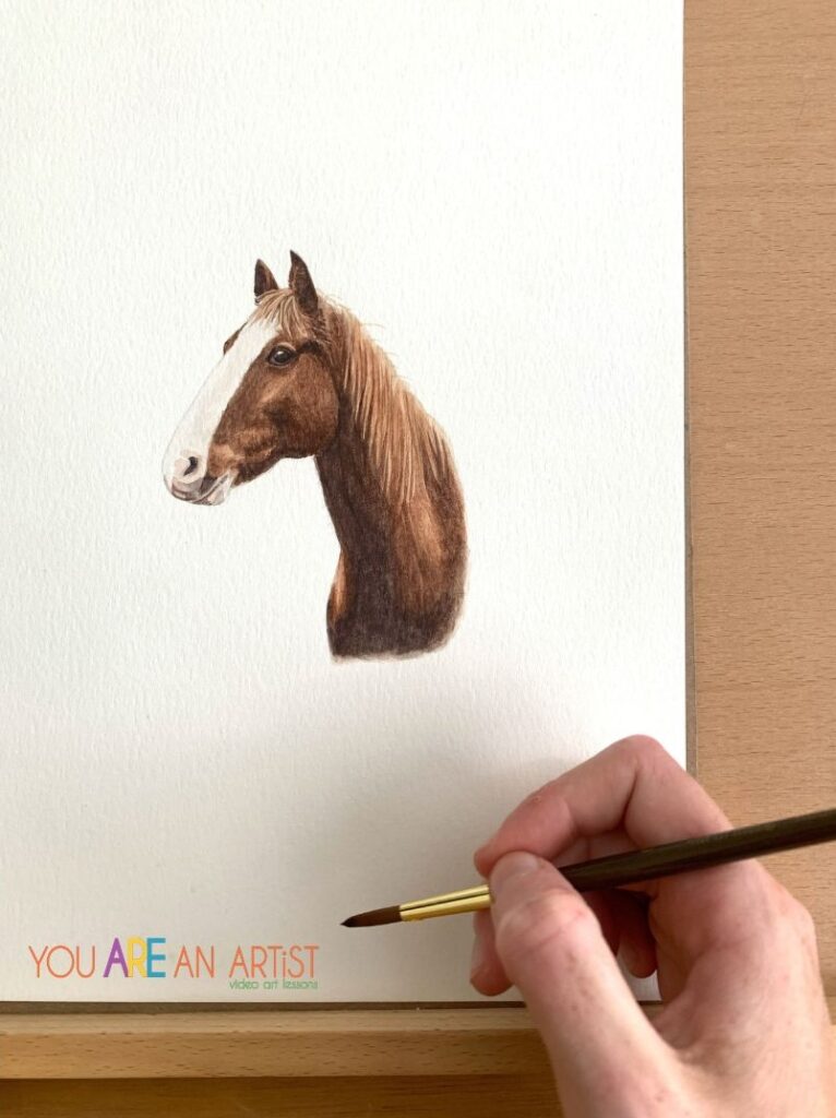 If you have kids that are crazy for horses, jump into these horse activities for kids! Art lessons, a book list, unit studies, nature studies and more!