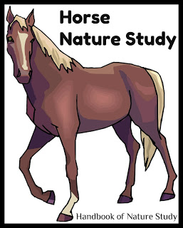 Horse Activities for Kids - Horse Nature Study Outdoor Hour Challenge