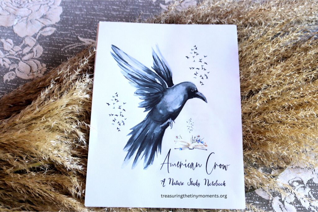 Introducing a Charlotte Mason inspired Nature Study Notebook! Connect with your children and enjoy a family style nature study focusing on the American Crow!