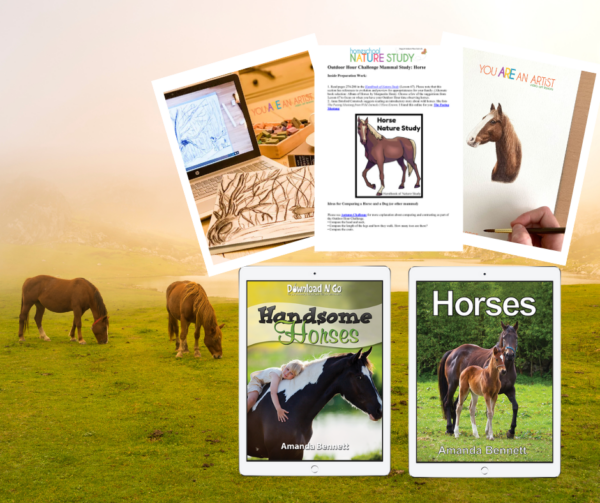 Horses Homeschool Unit Study Bundle