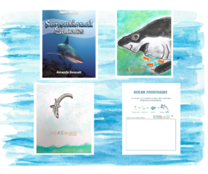 This sharks homeschool unit study exemplifies our STEAM approach to learning. Integrated lessons include literature, science, art and nature study.